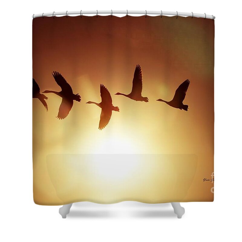 Sunset Shower Curtain featuring the photograph The before the Sundwon by Yumi Johnson