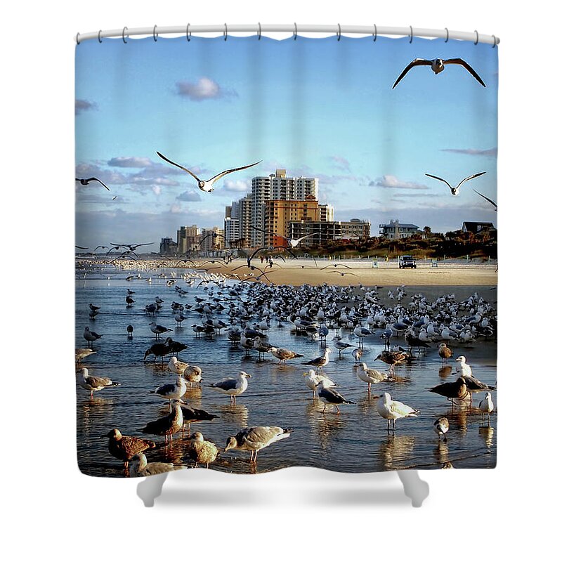 Birds Shower Curtain featuring the photograph The Birds by Jim Hill