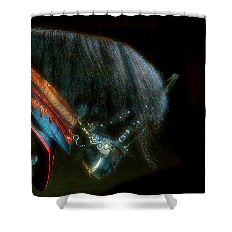 Horse Shower Curtain featuring the photograph The Black Horse I by Amanda Struz