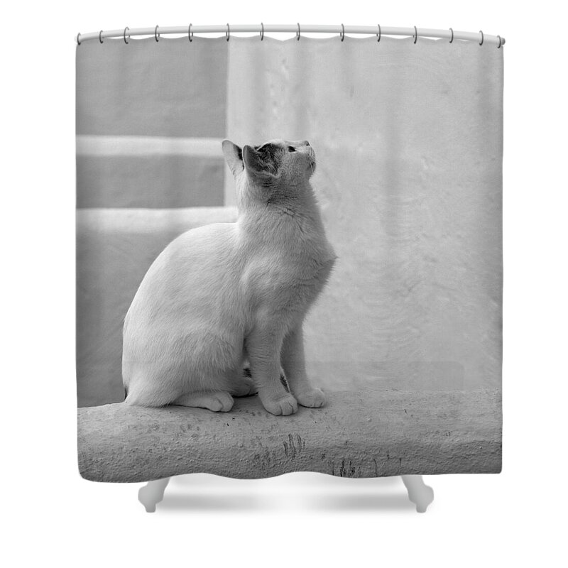 Landscape Shower Curtain featuring the photograph The Blond 4 by Jouko Lehto