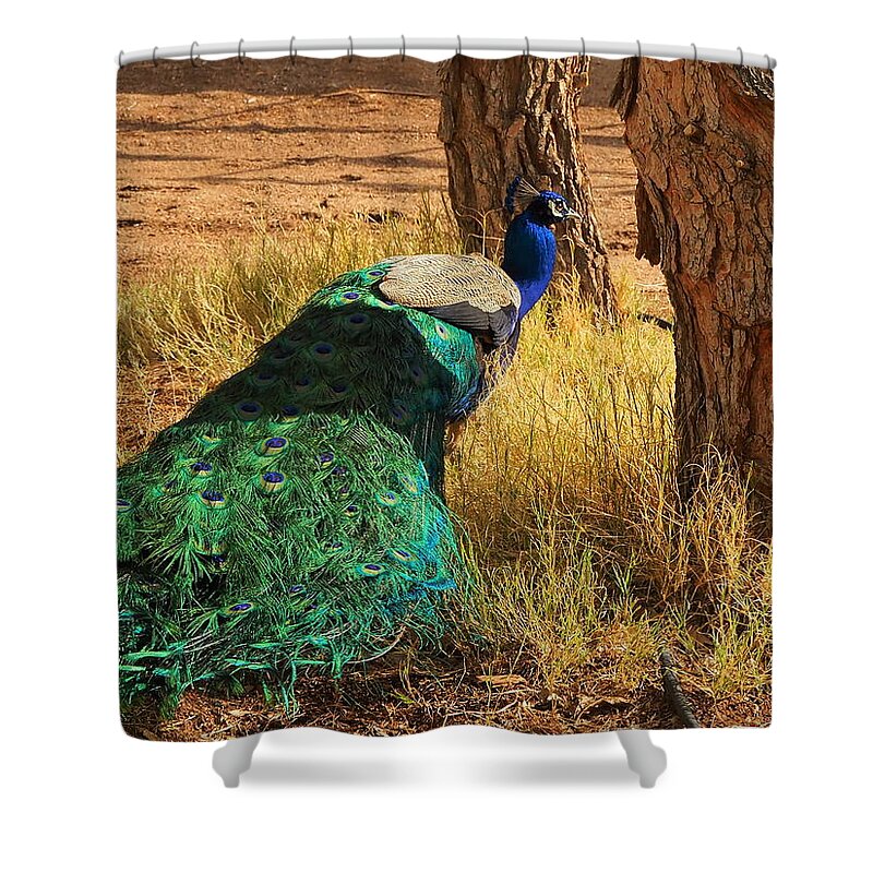 Animal Shower Curtain featuring the photograph The Boss by Richard Thomas