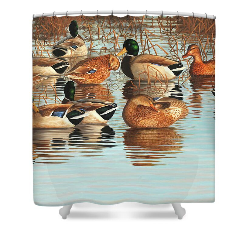 Mallards Shower Curtain featuring the painting The Breakfast Club by Guy Crittenden