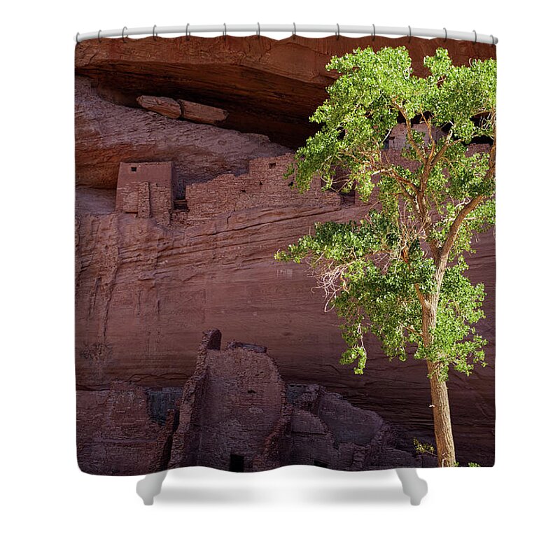 Arizona Shower Curtain featuring the photograph The Breeze Whispers Life by Lucinda Walter