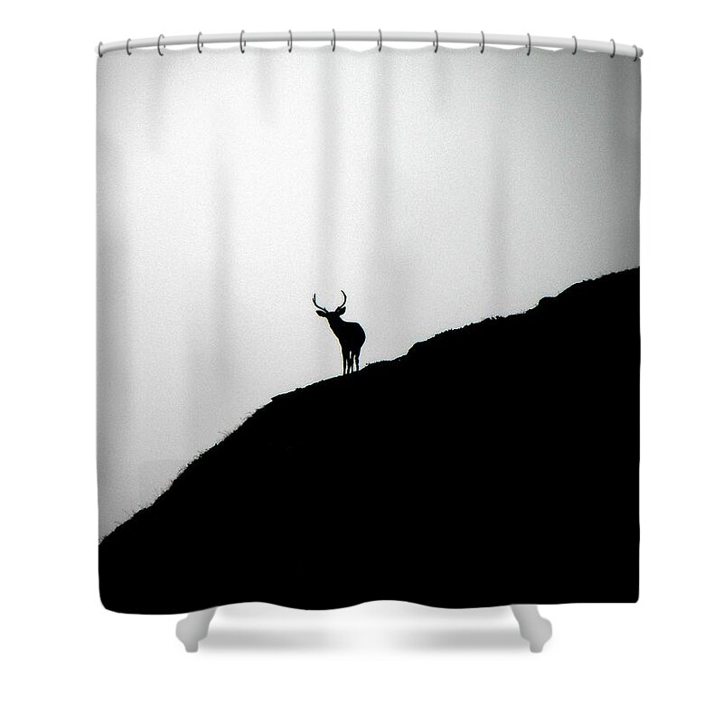 Landscape Shower Curtain featuring the photograph The Buck II by Elizabeth Hoskinson