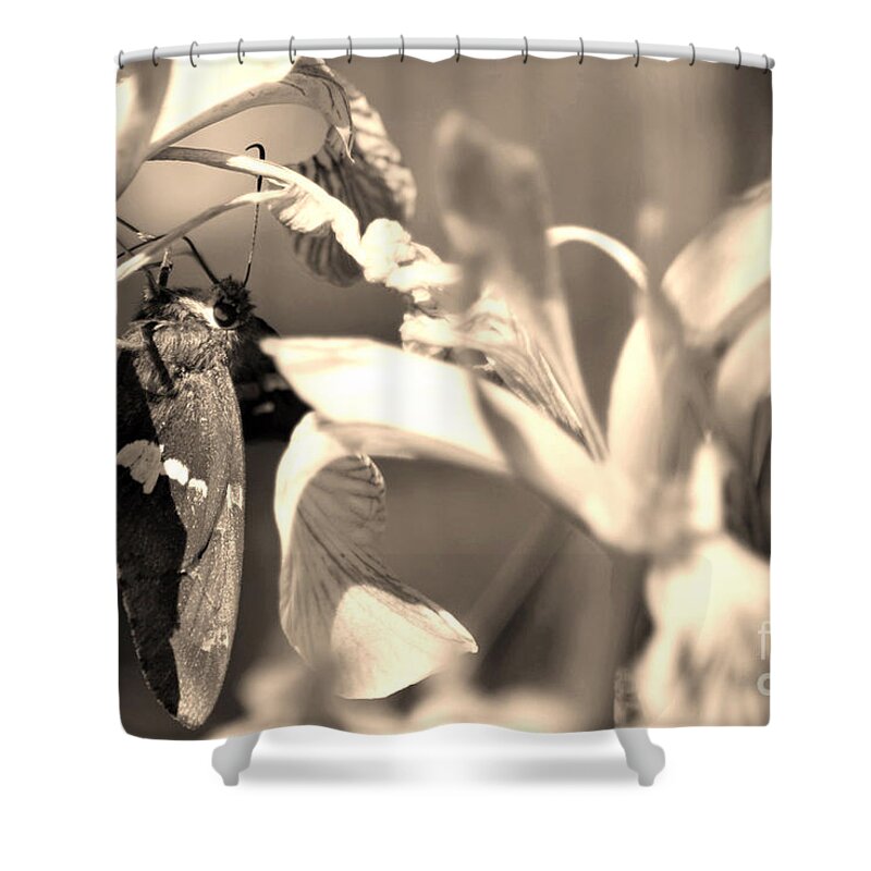 Fine Art Shower Curtain featuring the photograph The Butterfly by Donna Greene