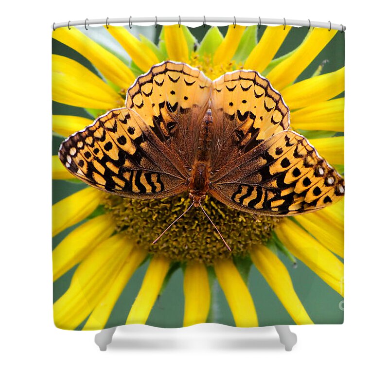 Butterfly Shower Curtain featuring the photograph The Butterfly Effect by Tina LeCour