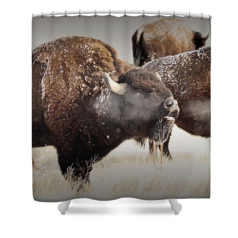 The Shower Curtain featuring the photograph The Call Of The Wild by Brian Gustafson