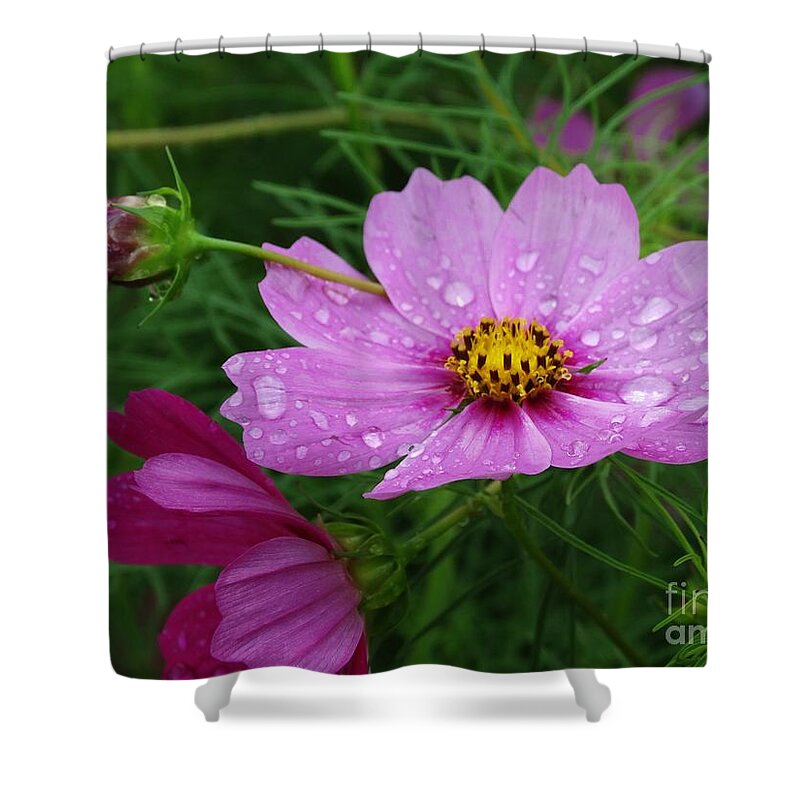 Flower Prints Shower Curtain featuring the photograph The Calming by J L Zarek