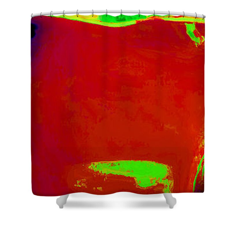 Abstract Face Shower Curtain featuring the photograph The Carnival Dude by James Stoshak