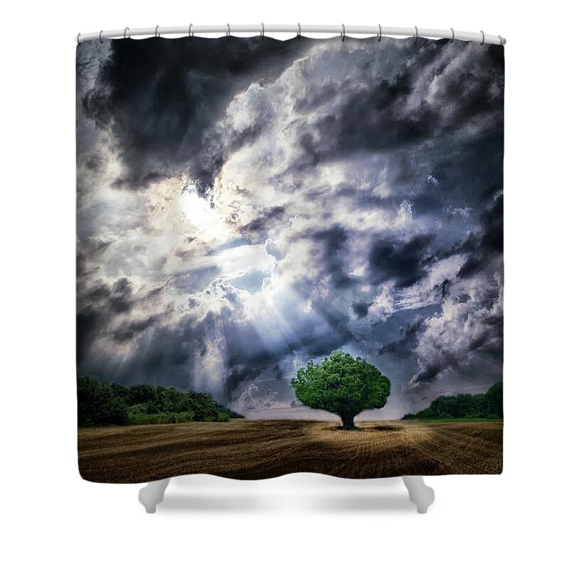 Tree Shower Curtain featuring the photograph The Chosen by Mark Fuller
