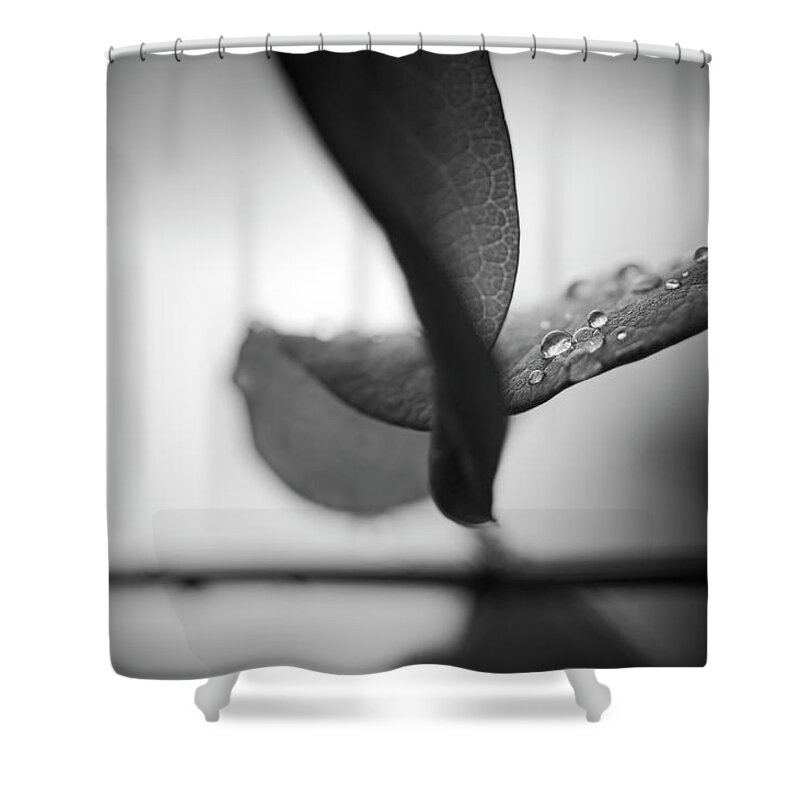 Blumwurks Shower Curtain featuring the photograph The Cleansing by Matthew Blum