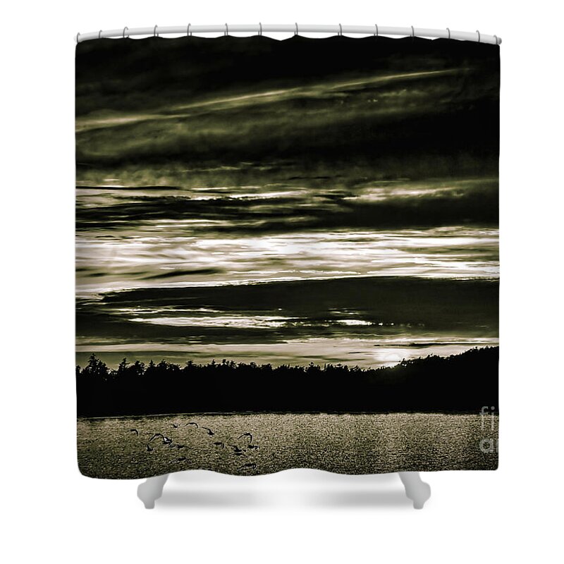 Night Photo Shower Curtain featuring the photograph The coast at night by Barry Weiss