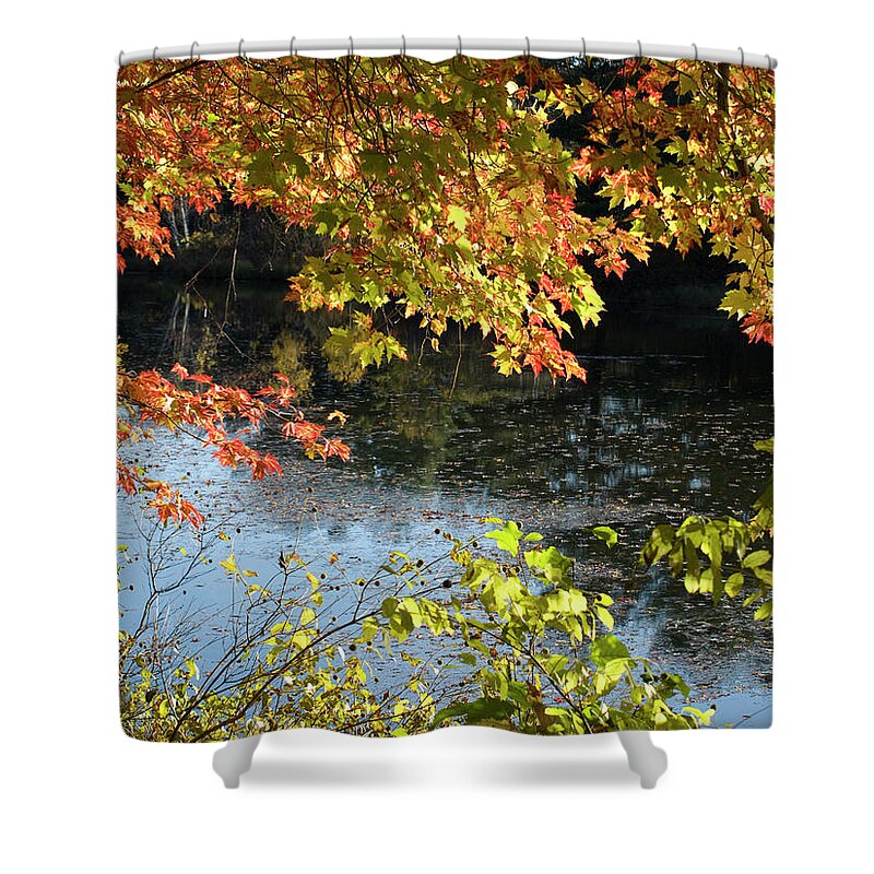 Water Shower Curtain featuring the photograph The Colors of Fall by Tara Lynn