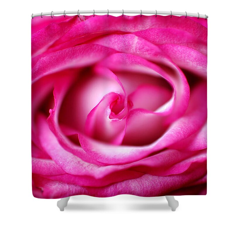 Rose Shower Curtain featuring the photograph The Core by Lorenzo Cassina