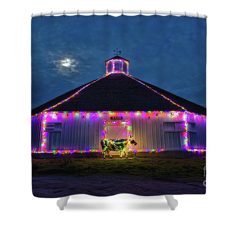 Christmas Shower Curtain featuring the photograph The Cow Is Out Of The Christmas Barn by Mimi Ditchie