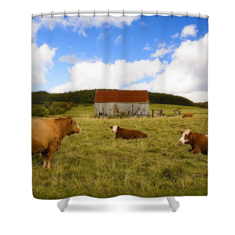 Cow Shower Curtain featuring the digital art The Cows of Mabou by Ken Morris