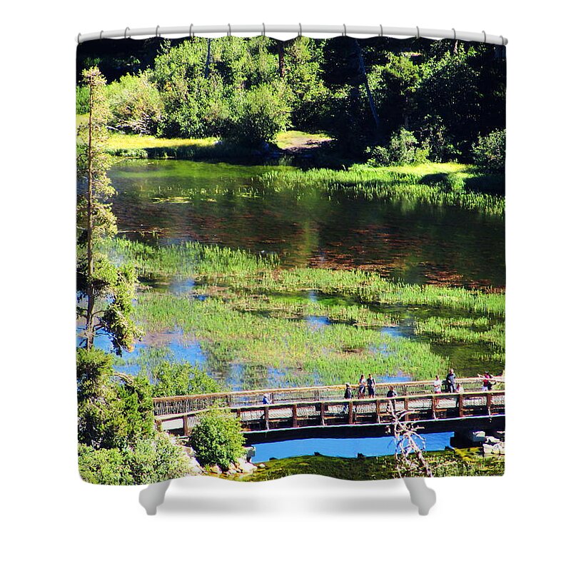 Nature Shower Curtain featuring the photograph The Crossing by Marilyn Diaz