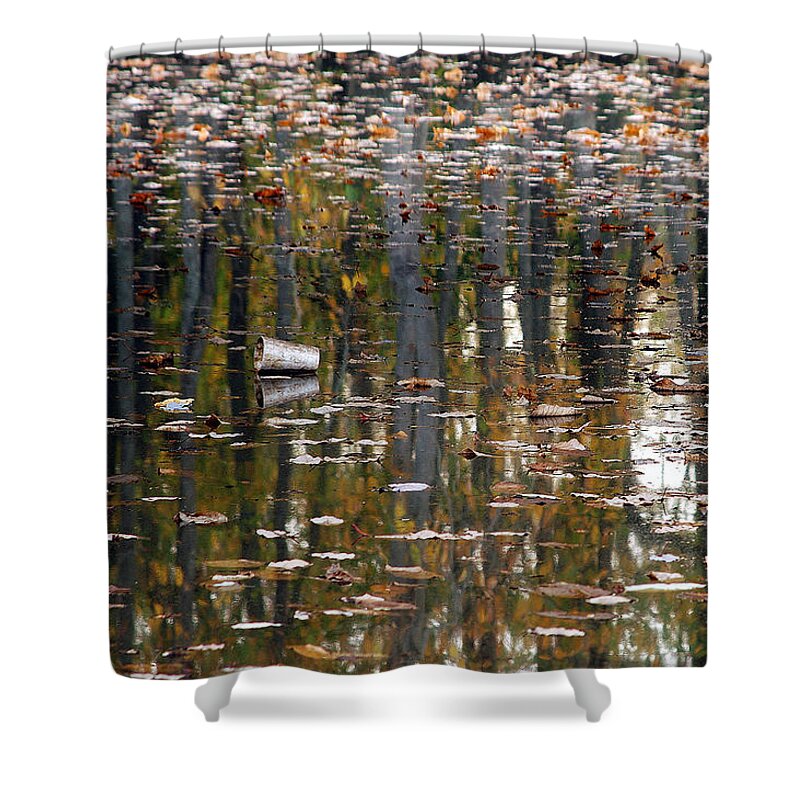 Cup Shower Curtain featuring the photograph The Cup by DArcy Evans