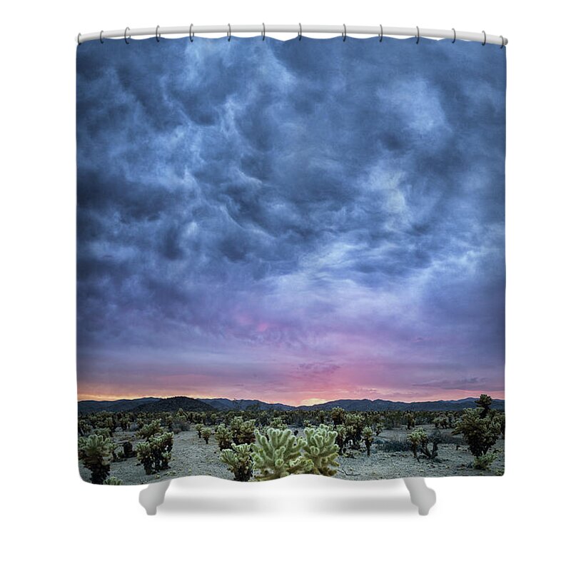 The Dark Sunset Shower Curtain featuring the photograph The Dark Sunset at Cholla Cactus Garden by Michael Ver Sprill