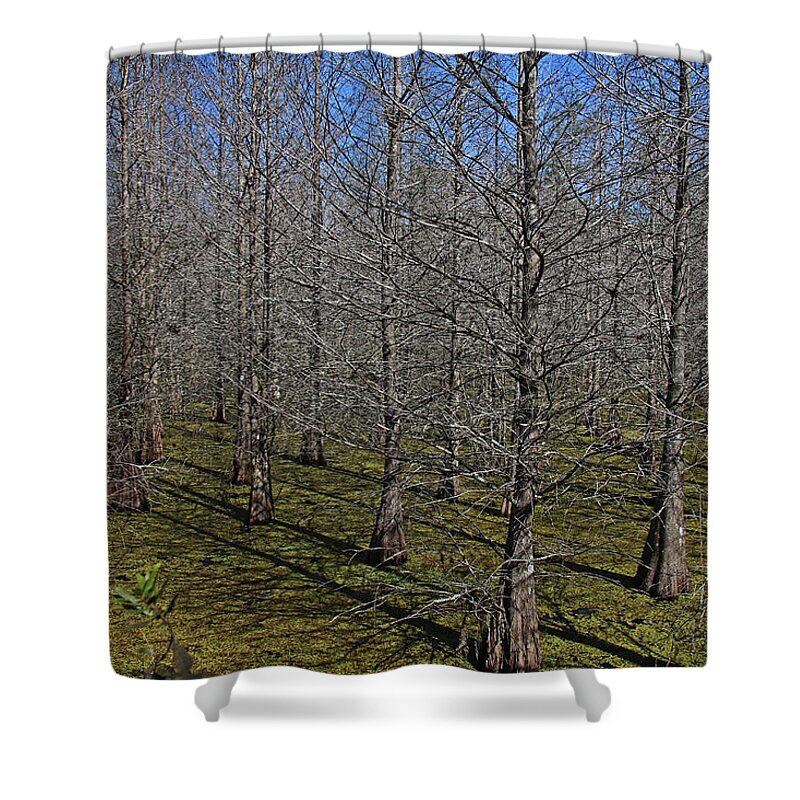Nature Shower Curtain featuring the photograph The Darkest Minds by Michiale Schneider