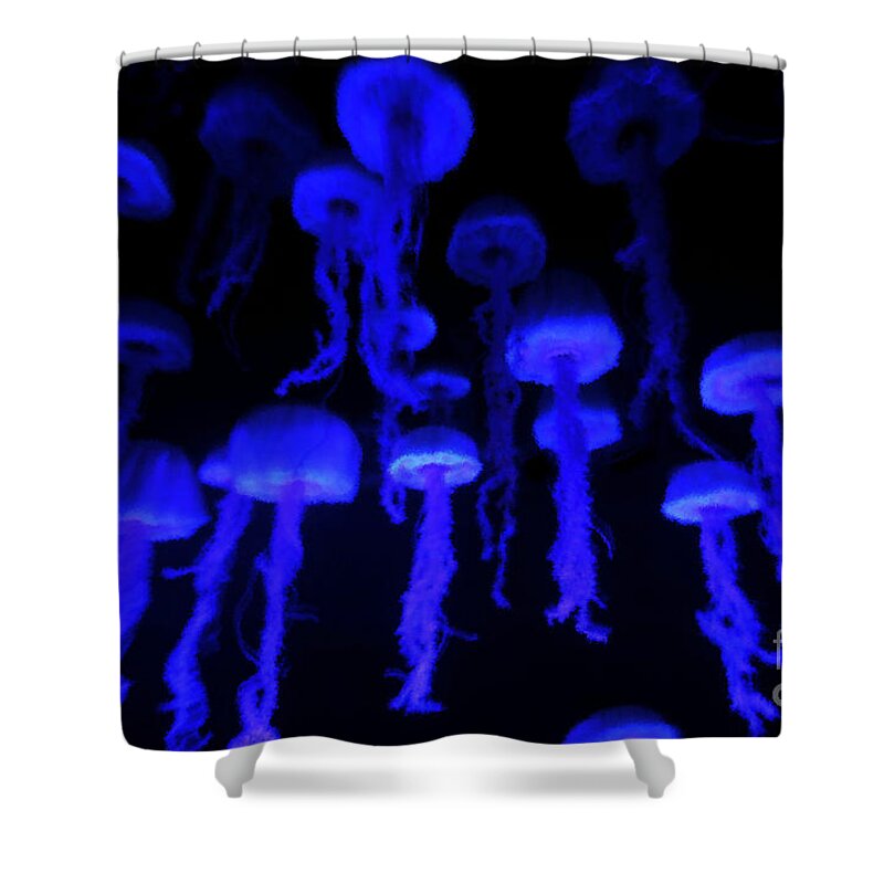 Sea Shower Curtain featuring the painting The deep blue sea by David Lee Thompson