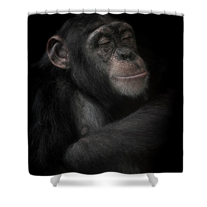 Chimpanzee Shower Curtain featuring the photograph The dream catcher by Paul Neville
