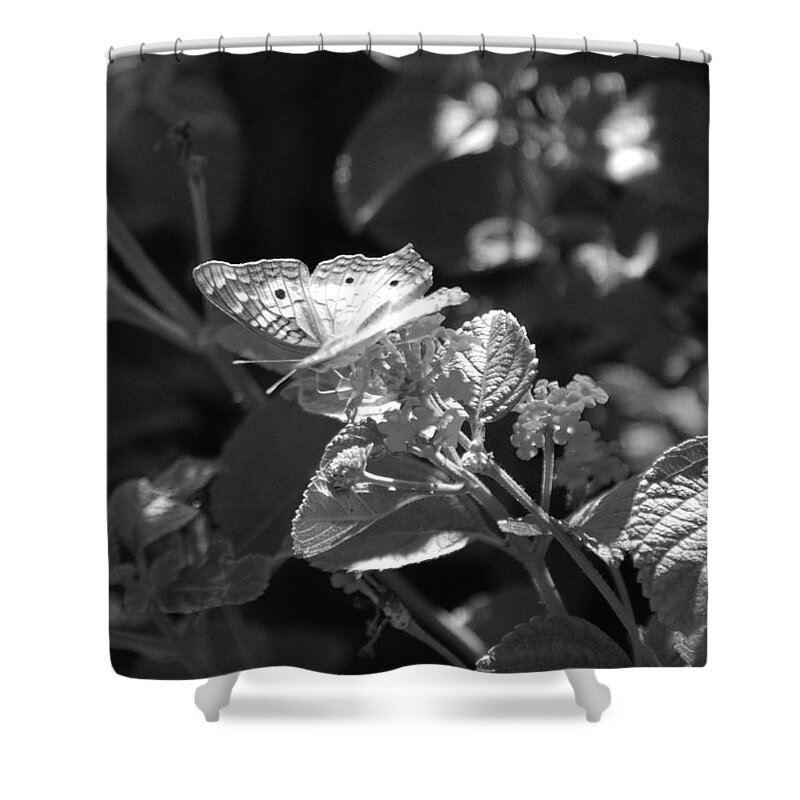 Black And White Shower Curtain featuring the photograph The Eagle Has Landed by Rob Hans