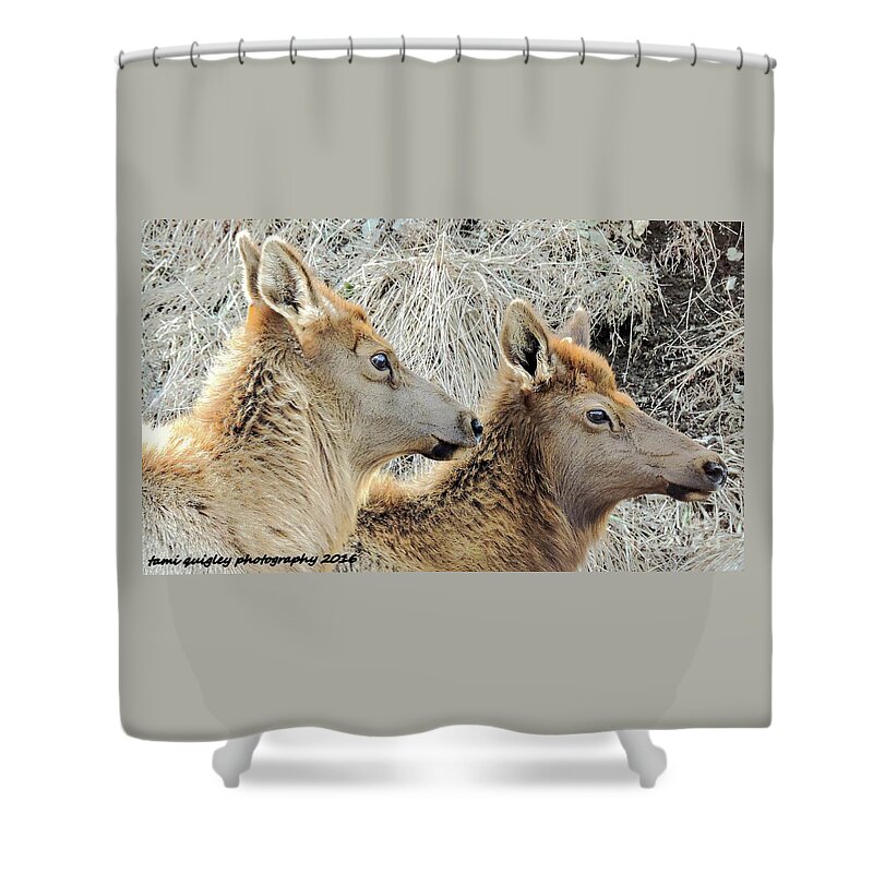 Elk Shower Curtain featuring the photograph The Elk Of Winter by Tami Quigley