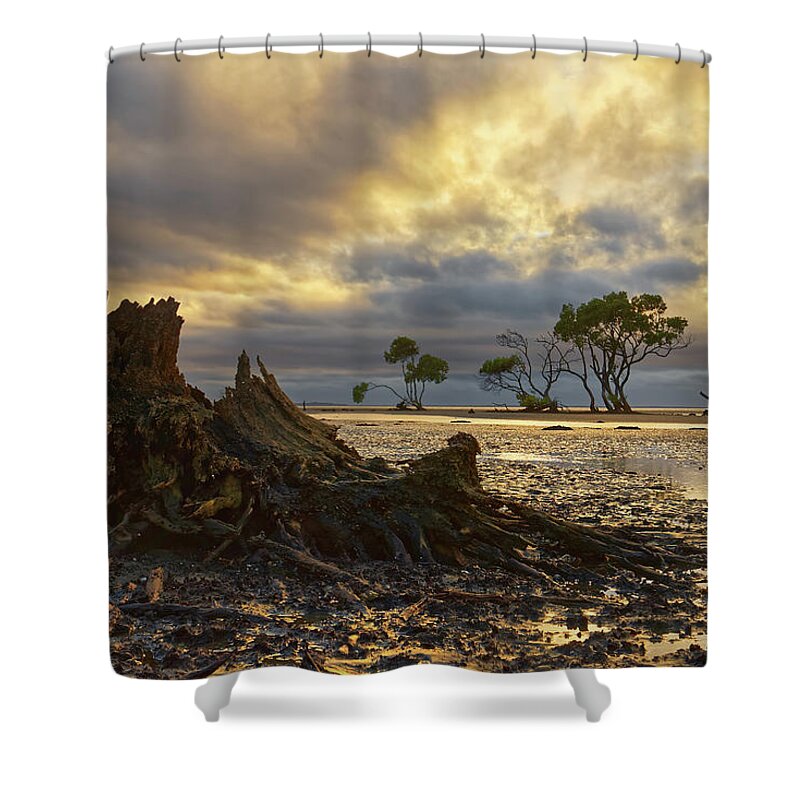 Decay Shower Curtain featuring the photograph The End of the World by Robert Charity