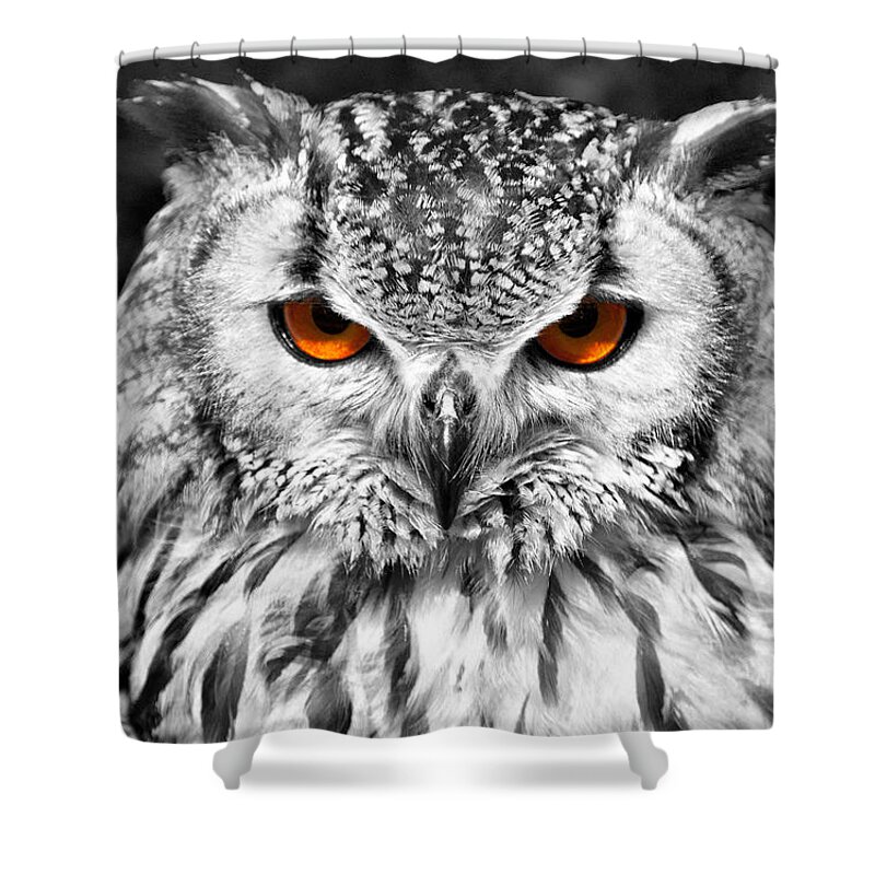 Bengal Owl Shower Curtain featuring the photograph The Eyes have it by Chris Thaxter