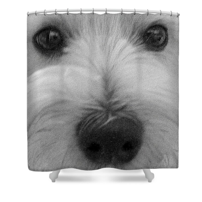 Dog Shower Curtain featuring the photograph The Eyes Have It by Edward Smith