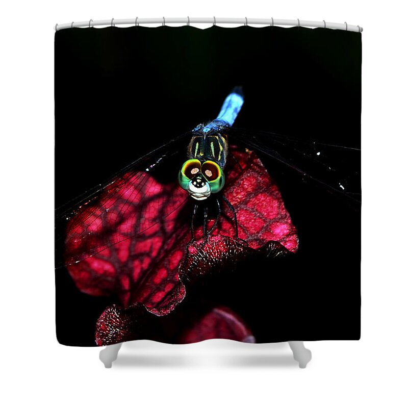 Dragonfly. Macro Shower Curtain featuring the photograph The Face Of A Dragonfly 004 by George Bostian