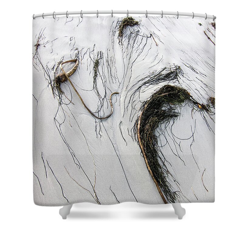 California Shower Curtain featuring the photograph The Face of Seaweed by Mary Lee Dereske