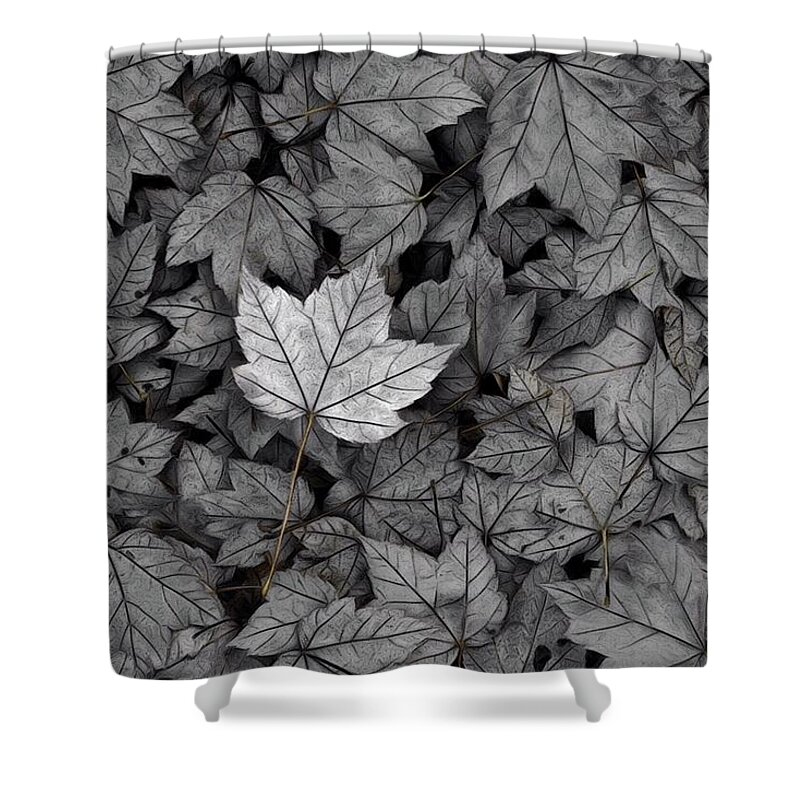 Leaf Shower Curtain featuring the photograph The Fallen by Mark Fuller