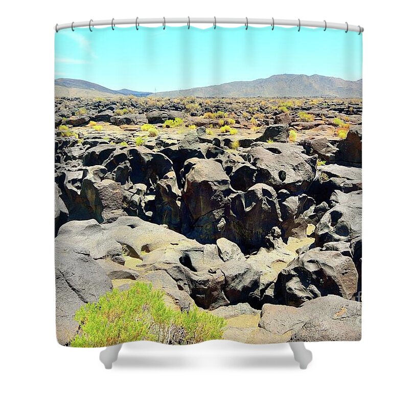 Basaltic Falls Shower Curtain featuring the photograph The Falls by Joe Lach