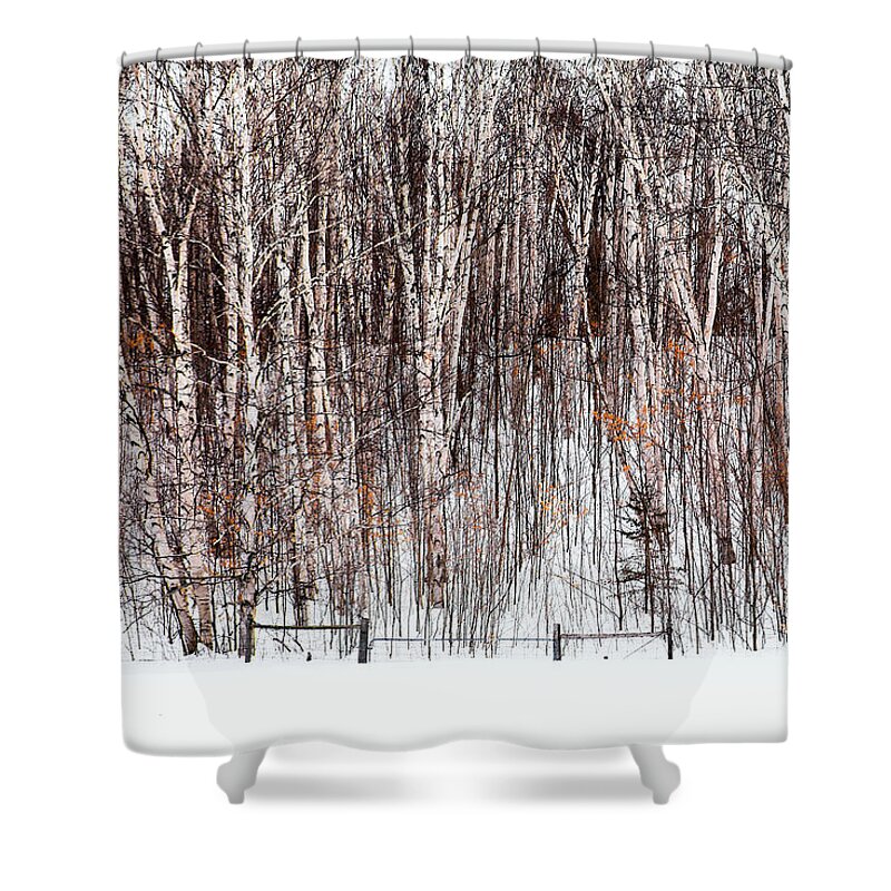 Trees Shower Curtain featuring the photograph The Fence by Linda McRae