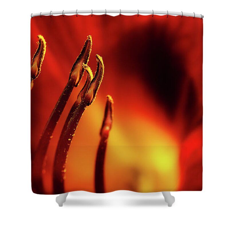 Lily Shower Curtain featuring the photograph The Fire Within by Mike Eingle