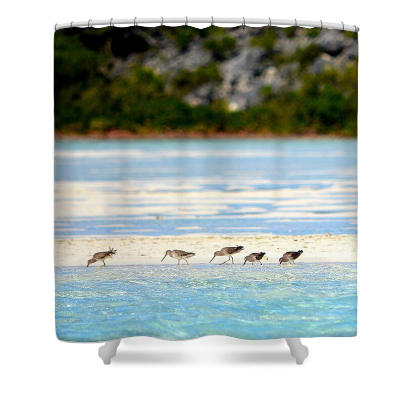 Bahamas Shower Curtain featuring the photograph The Five Sandpipers by Kimberly Woyak