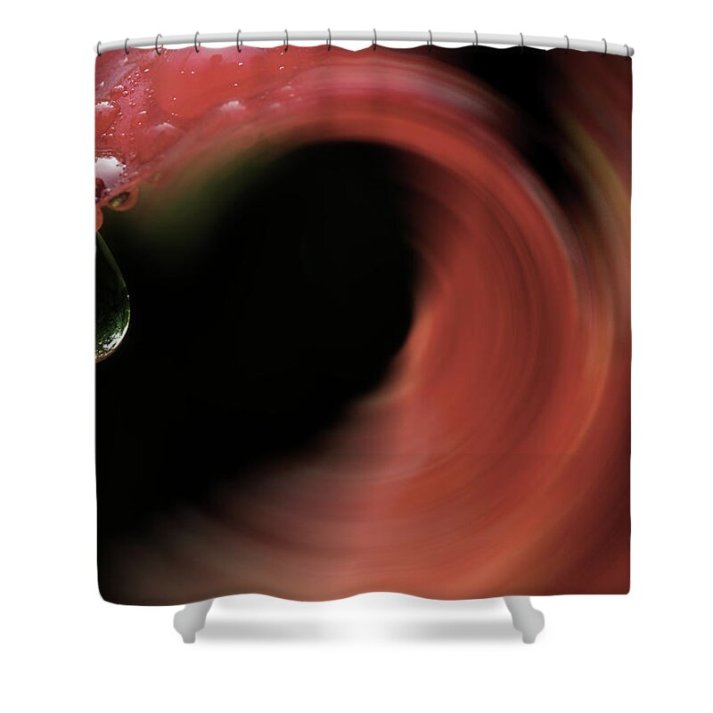 Lily Shower Curtain featuring the photograph The Flow Of Summer by Mike Eingle
