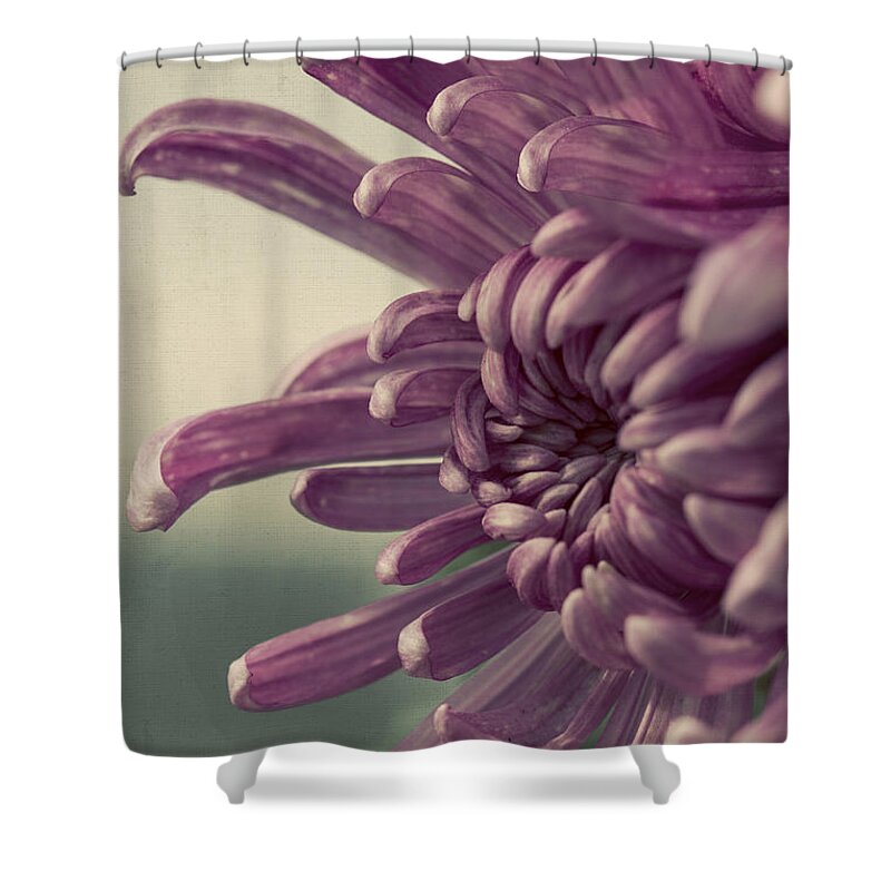 Chrysanthemum Shower Curtain featuring the photograph The Flower of Autumn by Linda Lees