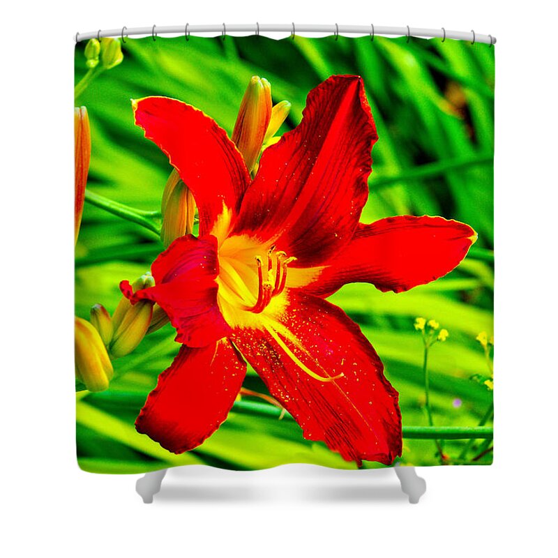 Flowers Shower Curtain featuring the photograph The Flower by Richard Denyer