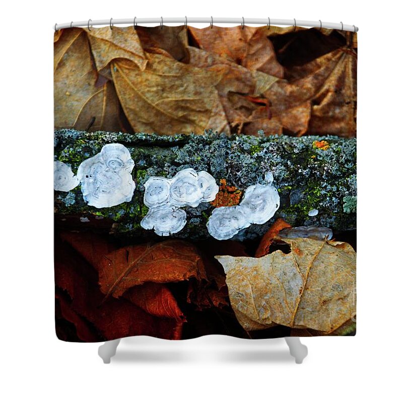 The Forest Floor Shower Curtain featuring the photograph The Forest Floor - Cascade WI by Mary Machare