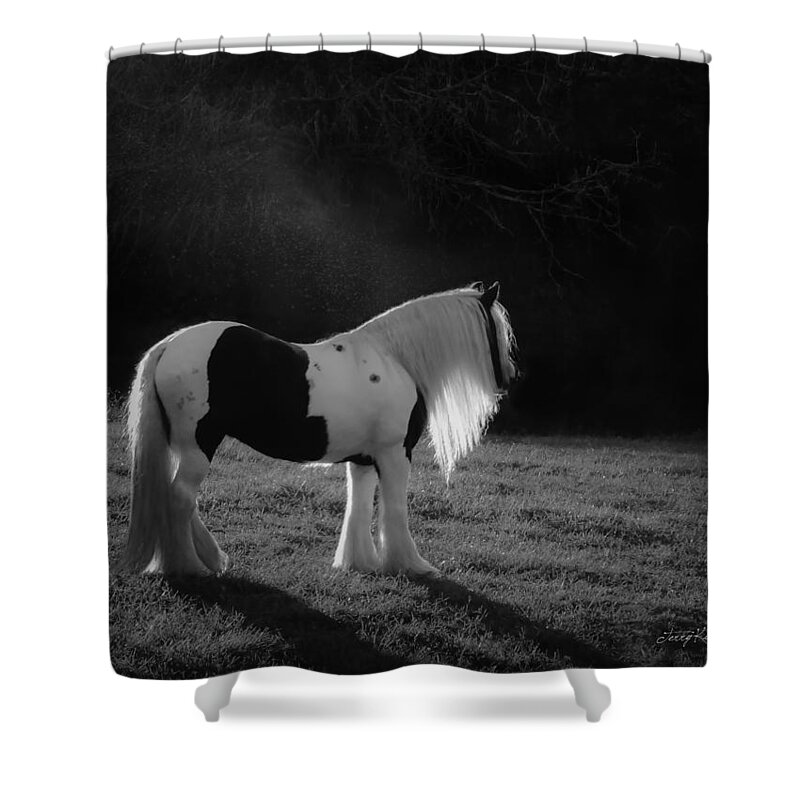 Equine Shower Curtain featuring the photograph The Forest Moonlight by Terry Kirkland Cook