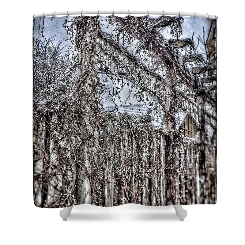 Landscape Shower Curtain featuring the photograph The gate by Christine Paris