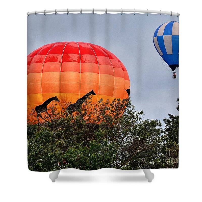 Giraffes Shower Curtain featuring the photograph The Giraffes Are Coming by Steve Brown