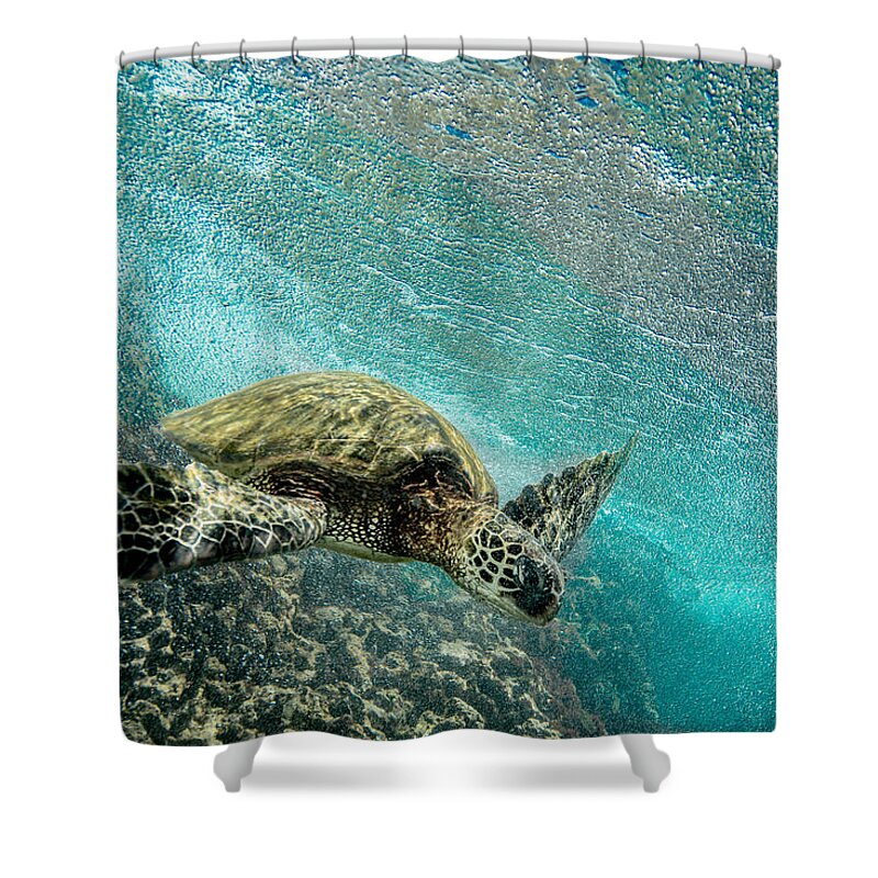 Hawaii Turtle Shower Curtain featuring the photograph The Glider by Leonardo Dale