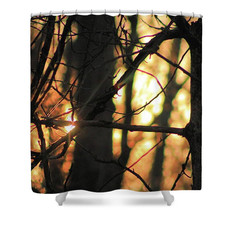 Sunset Shower Curtain featuring the photograph The Golden Hour by Bruce Patrick Smith
