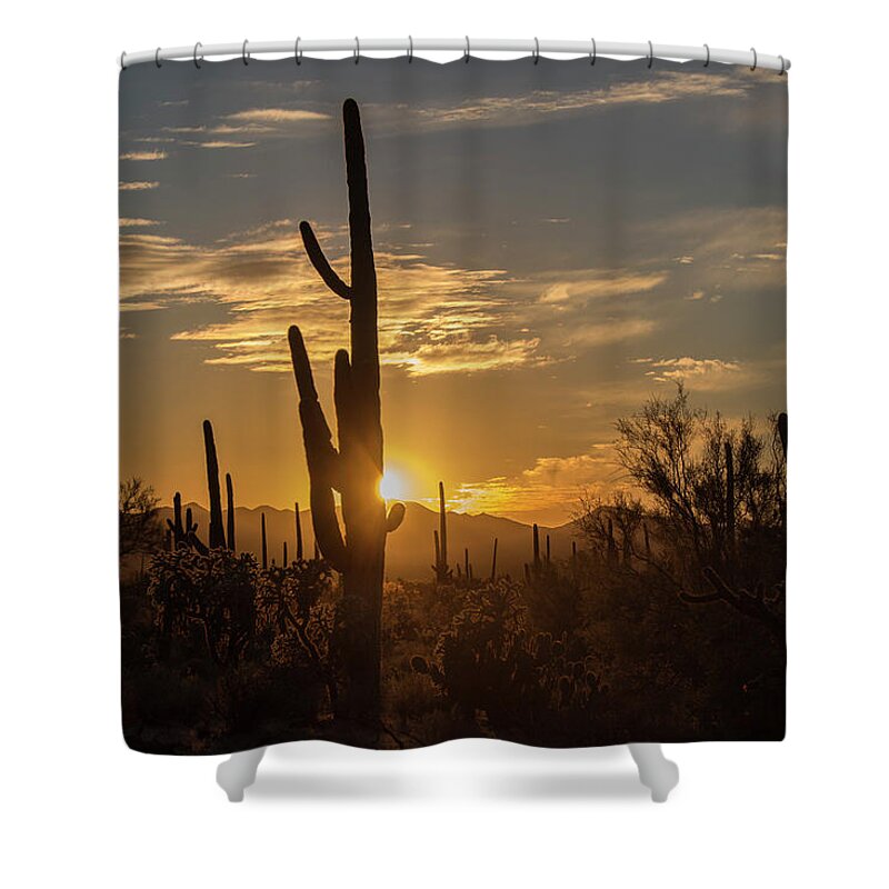 Landscape Shower Curtain featuring the photograph The Golden Hour by Teresa Wilson