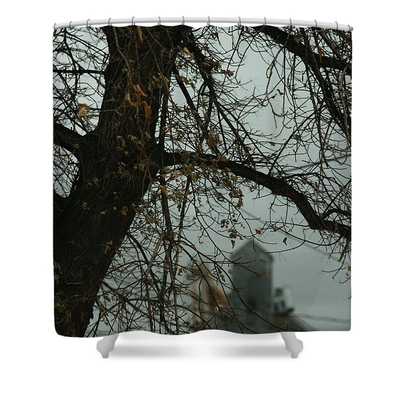 Tree Shower Curtain featuring the photograph The Granary by Linda Shafer