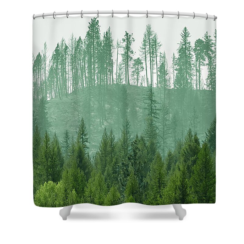 Ever Green Shower Curtain featuring the photograph The Green and the not so Green by Troy Stapek
